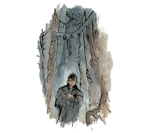 Quentin Blake's illustration of Harry